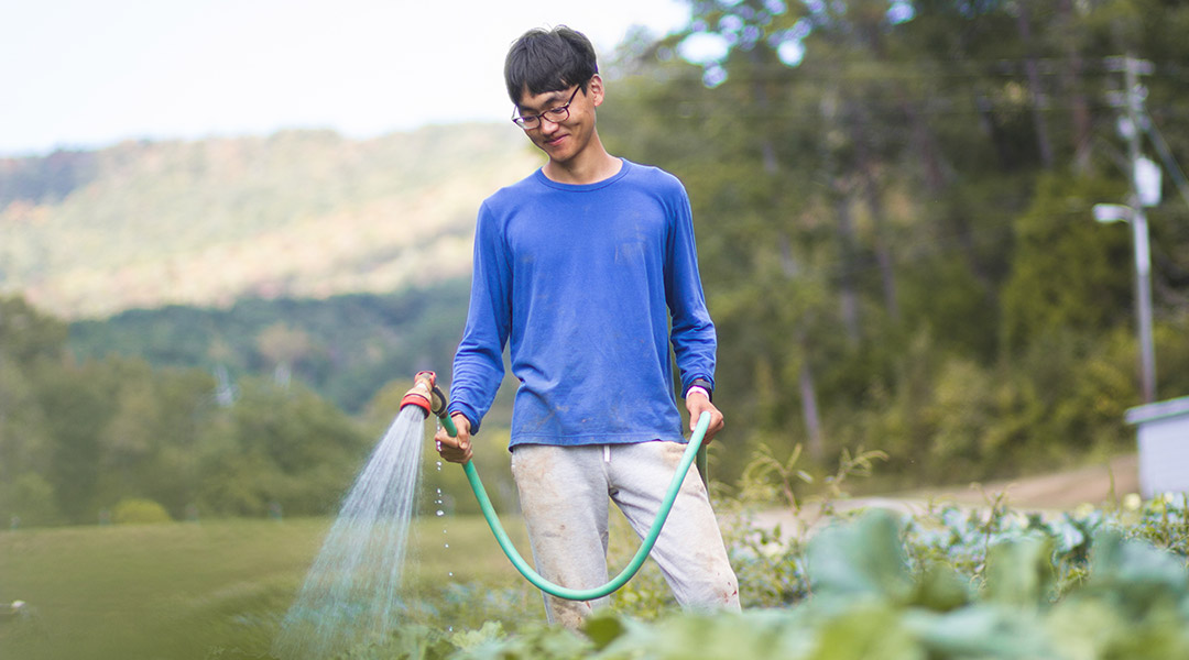 Learning Life Lessons From Itchy Okra